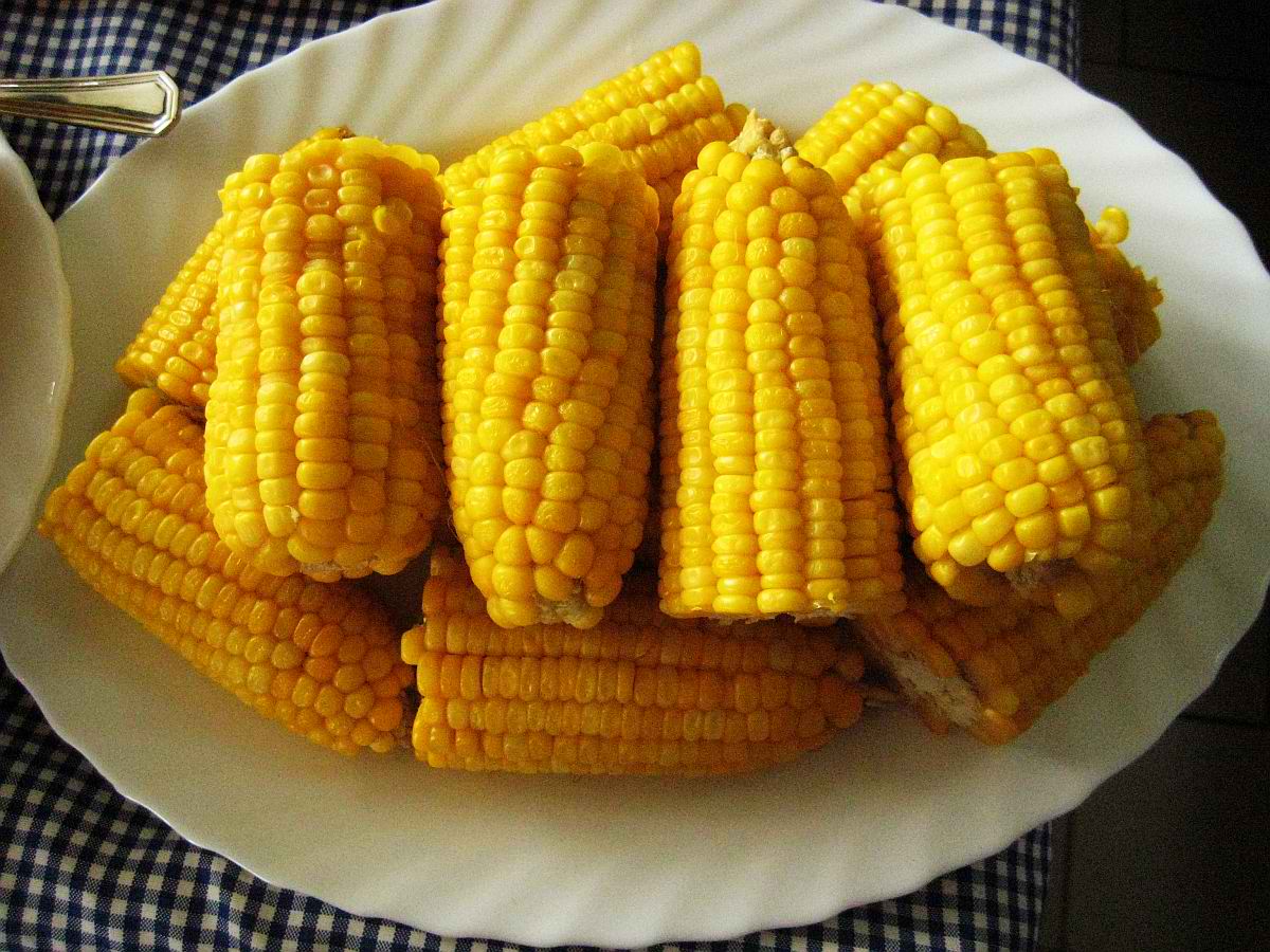 Кукуруза вареная в початках. Вареная кукуруза. Кукуруза початок. Кукуруза отварная в початках. Кукуруза в кастрюле.